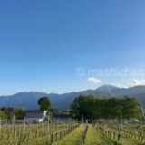 【ホテル・山梨・小淵沢】Komaki Vineyard　〜ワイナリー併設のオーベルジュ