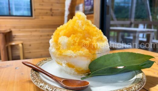 下のソーシャルリンクからフォロー