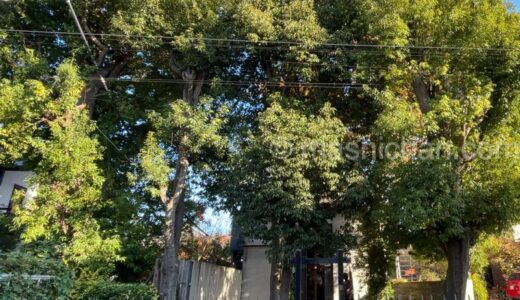 【武蔵浦和・フレンチ】mukuroji　〜築200年の蔵の中、美しい器と美しいお料理♪